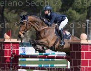 Lippi Bruni Caesar TosTour2013- S5 2293 : Arezzo, Arezzo Equestrian Centre, Caesar, Lippi Bruni Rebecca, Toscana Tour 2013, foto di Stefano Secchi ©
